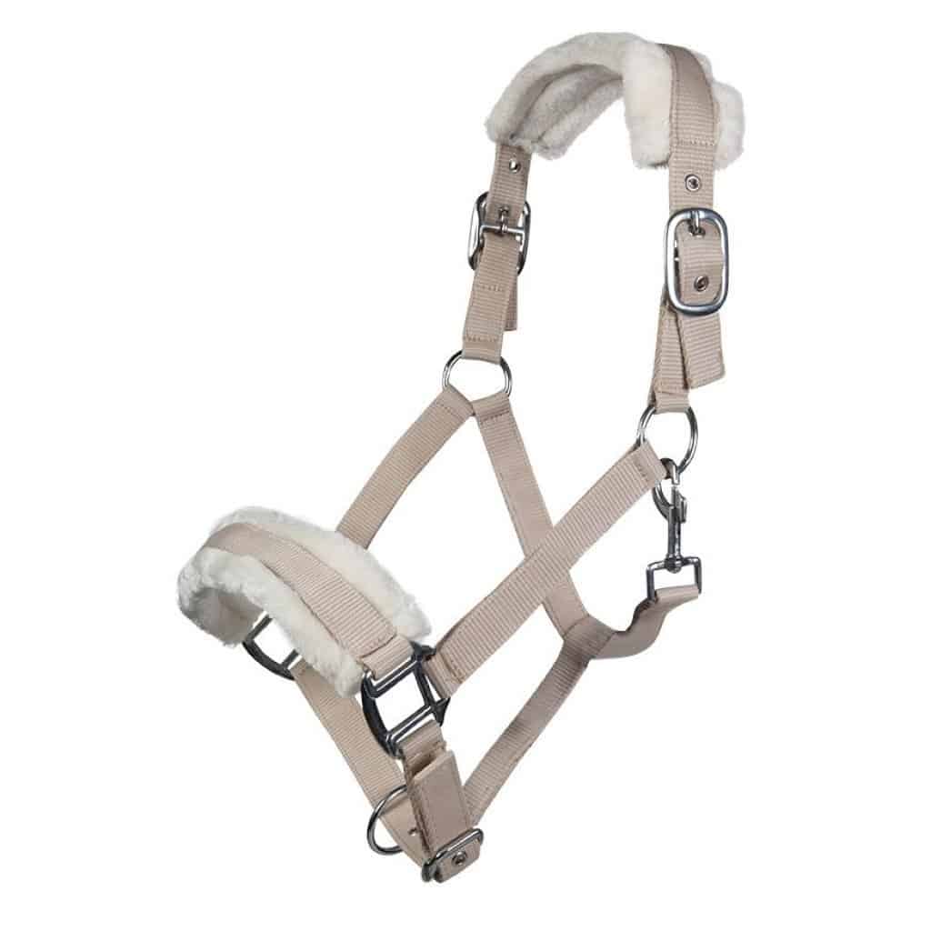 HKM Halster Bischofshofen – Luxe Halster met Teddybont en Gespwerk - Afbeelding 8