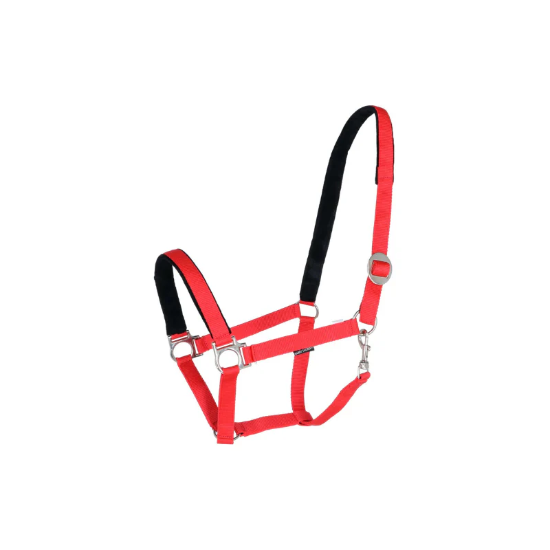 Harry’s Horse Halster Padded – Zacht Microfiber en Verstelbaar - Afbeelding 6