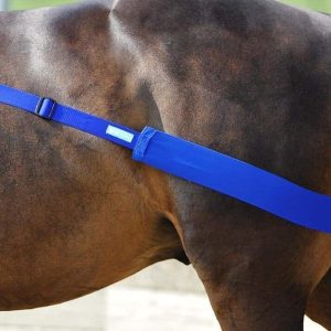 BB-lastic Activeringsband – Train de Achterhand van je Paard | Livin Horse Shop