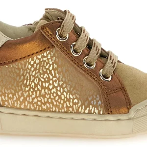 Falcotto Sneaker - Falcotto By Naturino Kinderschoenen - Brons | Patulia