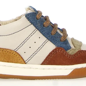 Falcotto Sneaker - Falcotto By Naturino Kinderschoenen - Multi | Kang