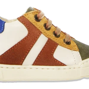 Falcotto Sneaker - Falcotto By Naturino Kinderschoenen - Groen | Nurrik