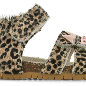 Shoesme Snaker - Shoesme Kinderschoenen - Luipaard | BI26S010-C