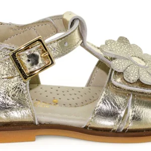 Zecchino D'Oro Sandaal - Zecchino D'oro Kinderschoenen - Goud | N23-2335