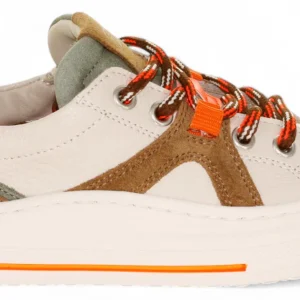 Zecchino D'Oro Sneaker - Zecchino D'oro Kinderschoenen - Groen | F13-4336